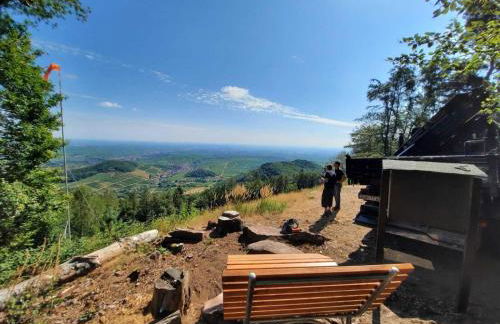 Ferienweingut Peter Stübinger - Foto 10