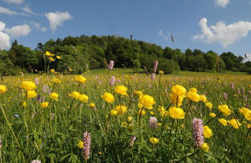 Biohof Seifert - Foto 7