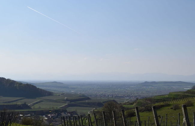 Holiday Apartment Kromer - Foto 34