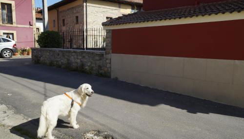 Casa de Aldea El Sol - Foto 4