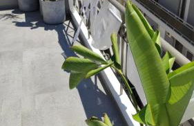 My Home in Greece - Photo 67