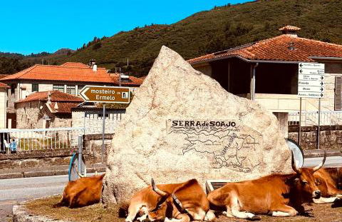 Casa da Touça - Foto 39