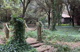 Cabaña de ensueño en el bosque y junto al mar - Foto 1