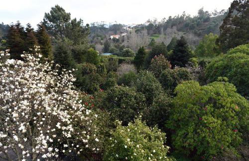 Casas de Pedra - Foto 78