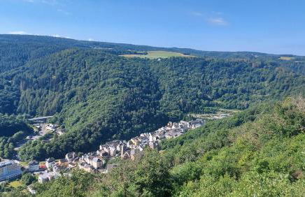 Villa Bad Bertrich - Photo 49