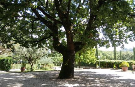 La Locanda della Chiocciola - Foto 91