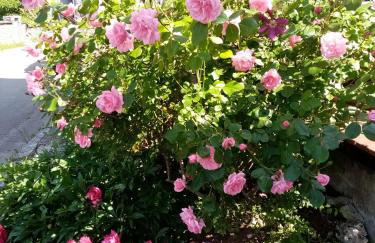 GITE LES 27 ROSES ET PLUS - Foto 19