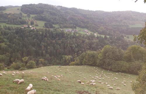 Gîte du ruisseau - Foto 26