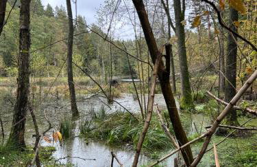 Stodoła Drwęck - Foto 34