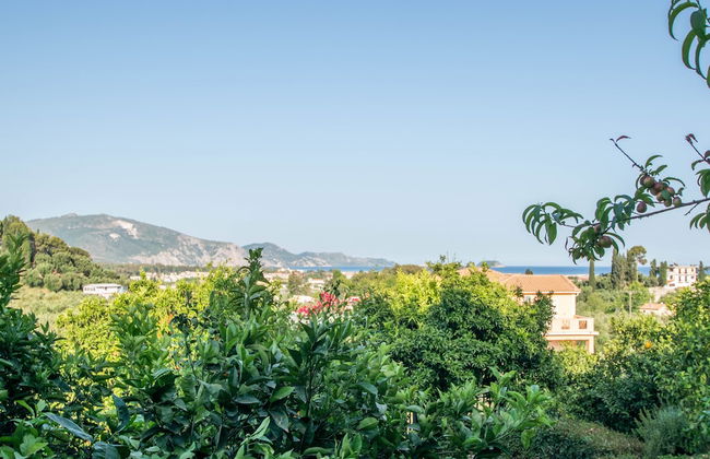 Andelica Holiday Villa - Foto 17