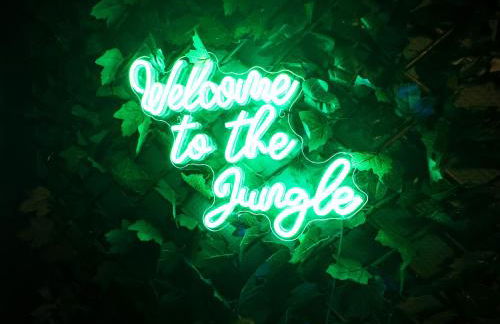 Jungle Urbain- Sauna - Ciné - Hamac - Hyper centre - Foto 12