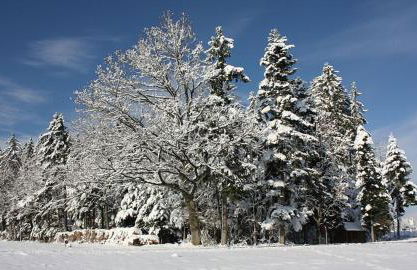 Am Siegelbächle Berg blickt - Foto 8