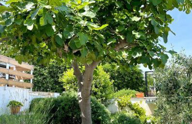 Villa Bua - Beautiful Seafront Apartments - Foto 22