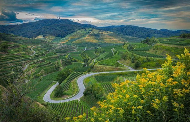 Holiday Apartment Monet in Oberrotweil - Foto 39