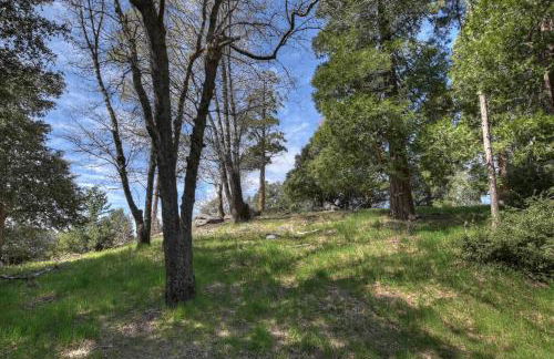 The Lazy Bear Cabin - For 6 - Foto 36