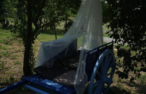 La Casa Blu - Foto 34