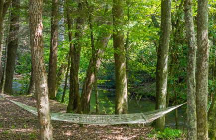 A Creek Runs Thru It - Secluded Waterfront Cabin - Foto 55