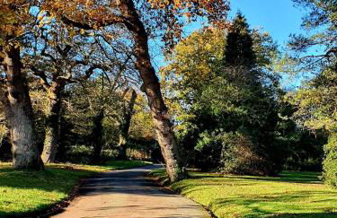 3 The Mews - Photo 17