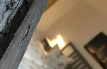 Ferienhaus Harzinsel - Foto 13