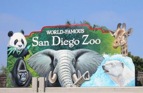 Spectacular Seaview Oasis -Views Spa Game Room - Foto 45