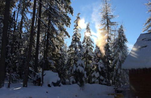 The Ridge At Glacier - Luxury Cabins - Photo 14