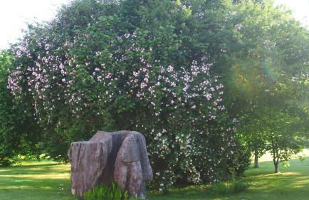 Agriturismo Domus Magna - Foto 30