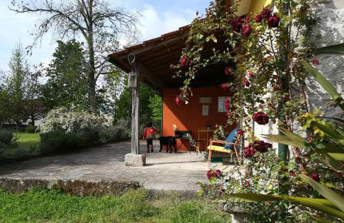 Casa das Palmeiras - Pedagogic Farm - Foto 88