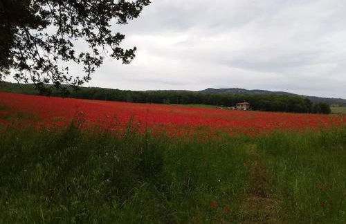 Casa Vacanze Capalbio - Foto 30