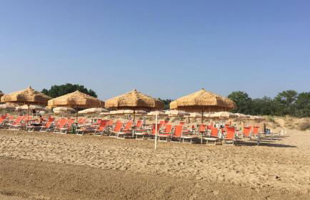 L'Ulivo Bianco - Foto 13