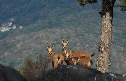 Villa Sunrise - Luxury property with pool & large private garden, few steps from the beach, ideal for families and people with mobility issues - Foto 48