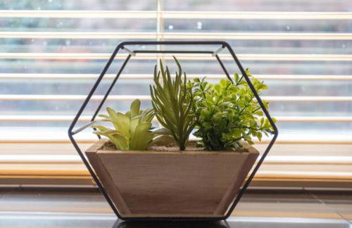 Milton Stays - Cosy 2 Bed House, 2 Floors, 15 min Walk to City Center, for up to 6 - Period Features, Cottage Style, Fireplace, Superfast Wi-Fi, Private Garden, Free On Street Parking - Foto 21