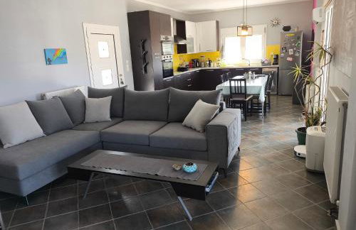 Modern big house in the port of Andros - Foto 3