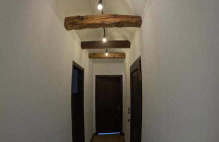 Miejski Las 8 - Foto 22