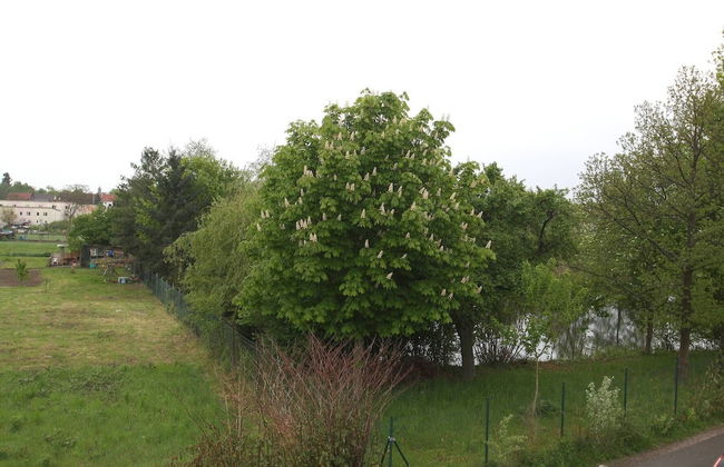 Maisonettewohnung mit großer Terrasse - Foto 15