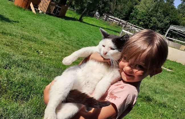 Retreat Holiday in Cozy Traditional House - Photo 32