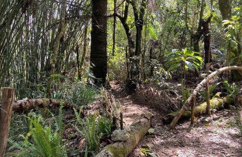 Casa Bambu Floresta Amada - Photo 32