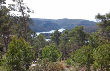 domisiladoré - Foto 5