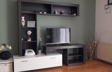 Apartments Mihael and Melani - Foto 48