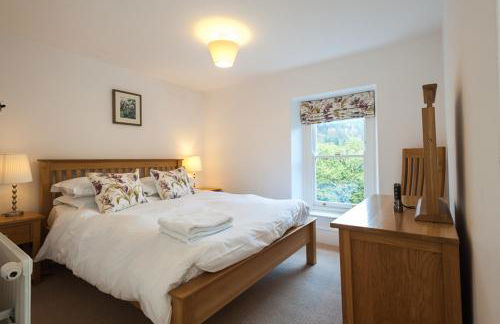 Bronfelin & Troed-y-rhiw Holiday Cottages - Foto 20