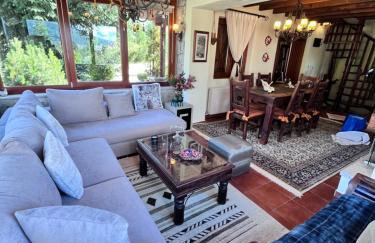 Livadi cozy villa - Foto 10