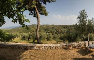 Olea Escape Villa in an Olive Estate - Foto 10
