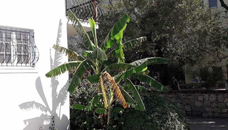 Serene Oasis in Fethiye Villa Lynste Ovacik Turkey - Foto 1, Imagen principal