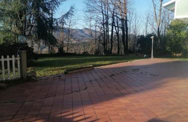 Le camelie - Foto 16