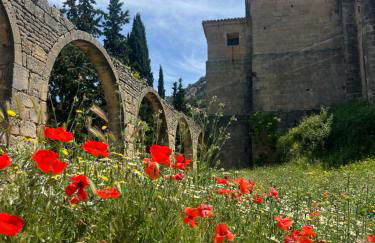 B&B Masia Katmandú - Foto 73