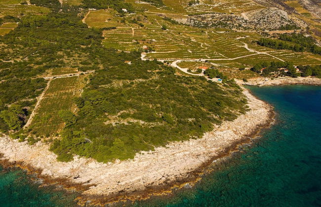 Country Home Dingač - Photo 28