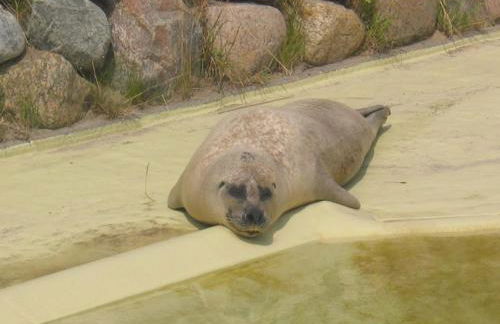 Friesenhof - Foto 26