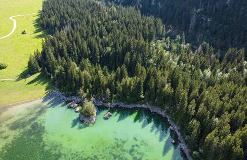 Cave Trieste Apartments - CaTs Apartments - Photo 37