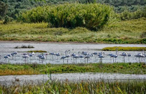 Sia's Holiday Home - Foto 6