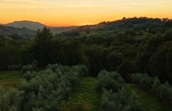 Holiday Villa in Sabina with Private Pool - Foto 52