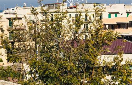 Villa A'mare - Foto 24